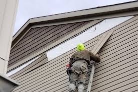 Best Siding Painting and Refinishing  in Shasta, CA